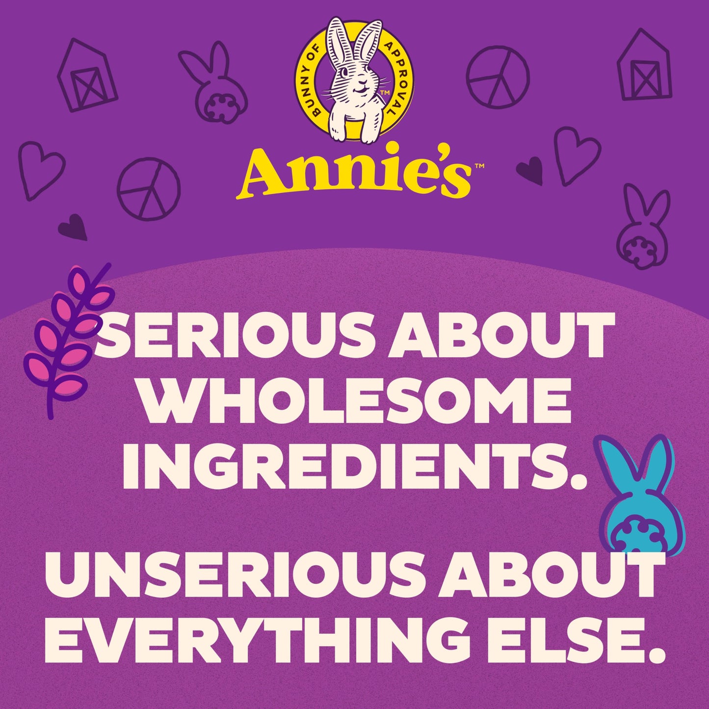 Annies Chewy Granola Bars, Sunflower Butter Chocolate Chip, Organic Snacks, 5 Count, 4.45 oz