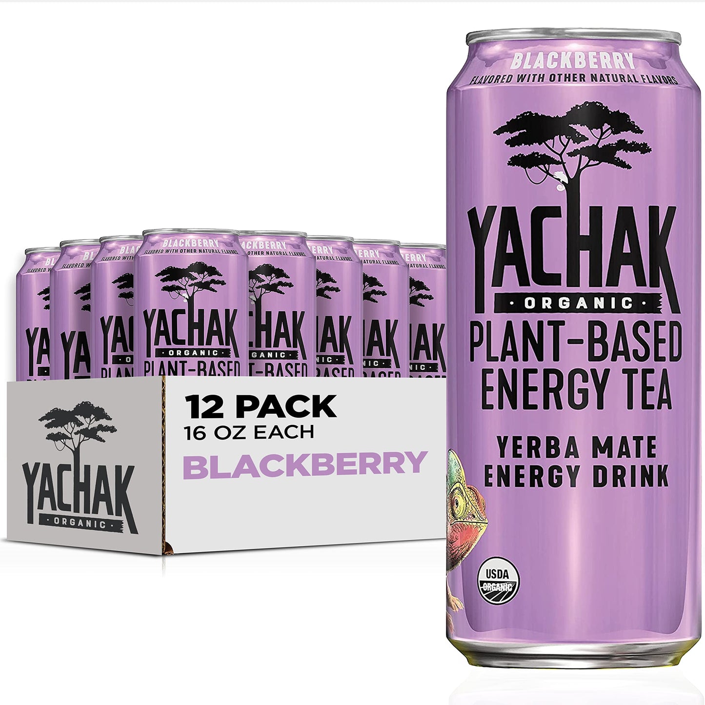 Yachak Yerba Mate Drink, Blackberry Flavor, 16 Fl Oz Cans, Pack of 12