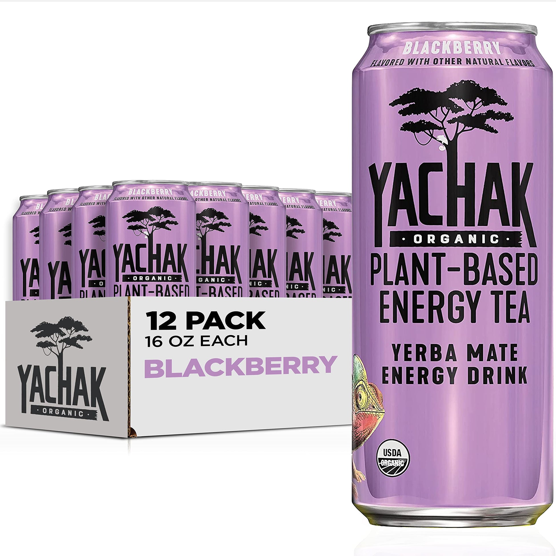 Yachak Yerba Mate Drink, Blackberry Flavor, 16 Fl Oz Cans, Pack of 12