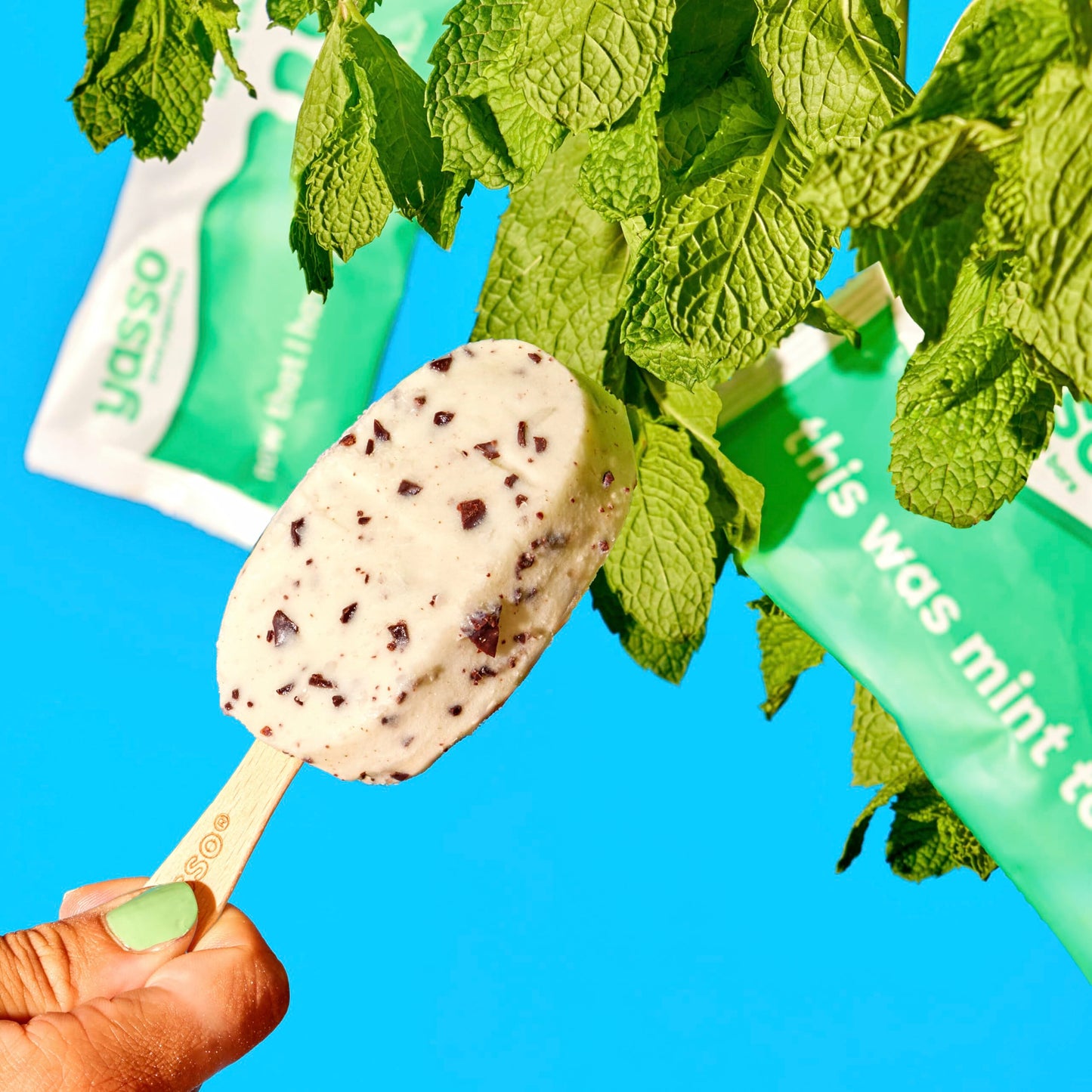 Yasso Mint Chocolate Frozen Greek Yogurt Bar, 4pk, 3.5 Fl Oz each