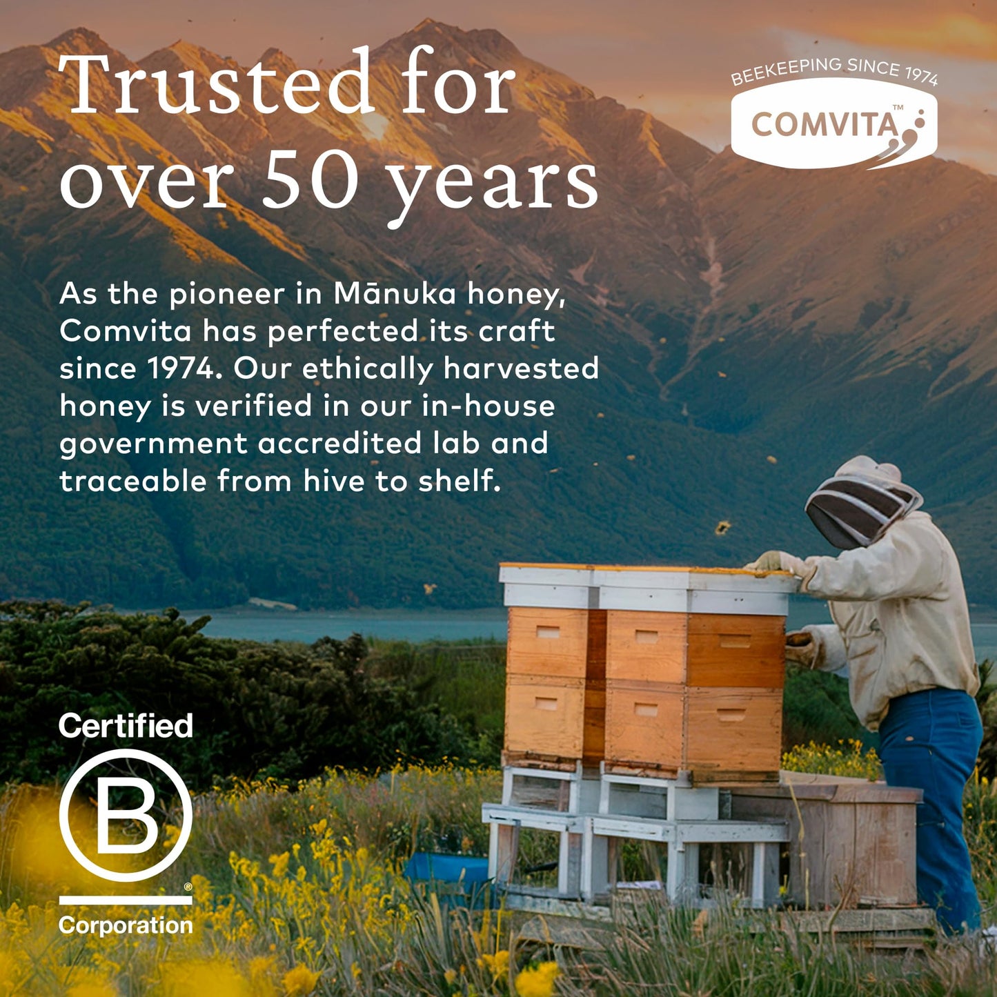 Comvita Manuka Honey UMF 20+ (MGO 829+) - Raw Manuka Honey New Zealand, Pure & Unpasteurized, Superfood for Immune Health, Use i