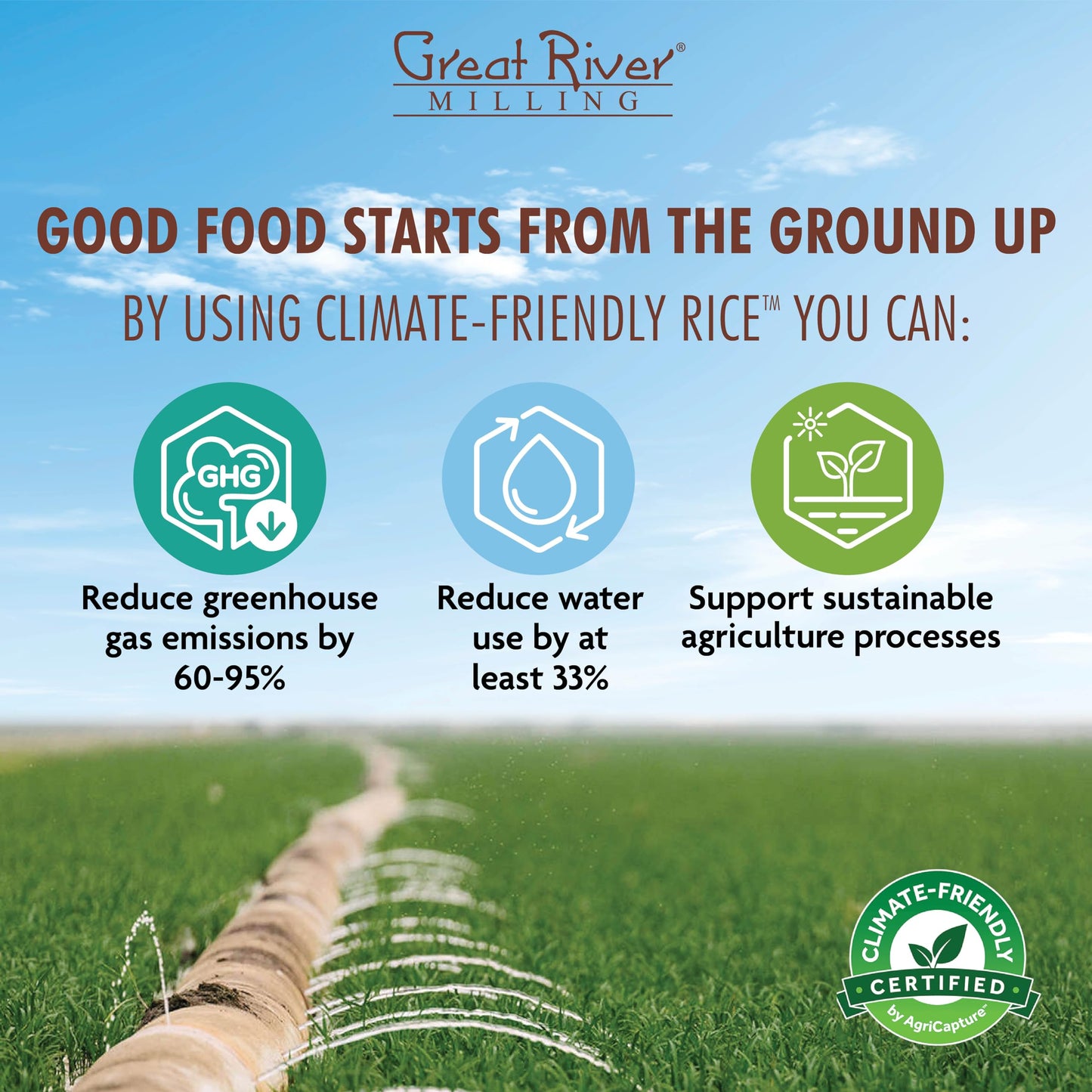 Great River Milling Climate Friendly Brown Rice, Long Grain Brown Rice Cooker Ready, Gluten Free, Vegan, Kosher, Vegetarian, Non