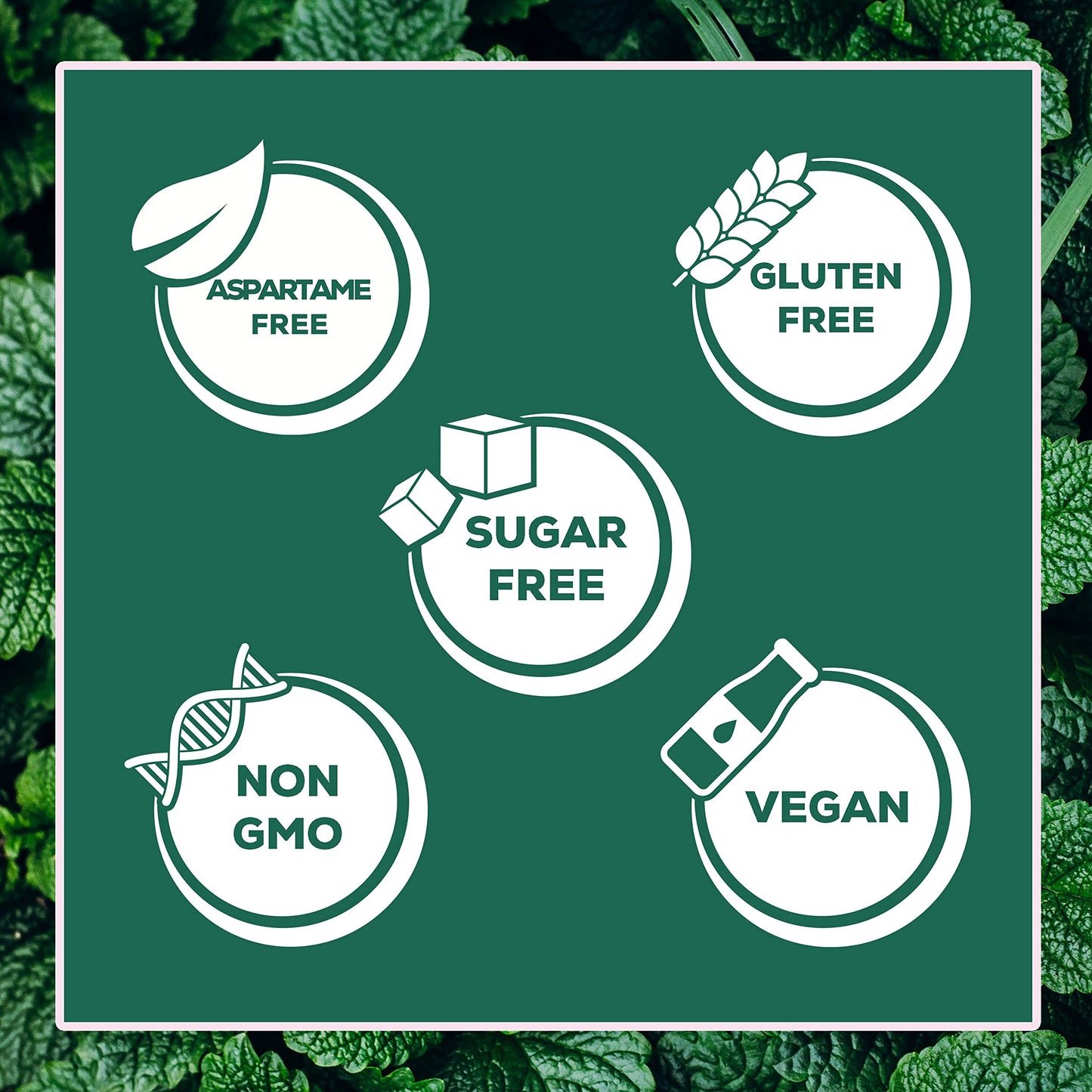 Xyloburst Gum | Xylitol Chewing Gum | Sugar Free, Gluten Free, Keto Friendly | Aspartame Free Gum For Oral Health | Spearmint Gu
