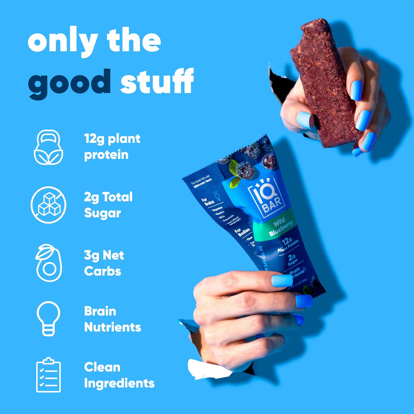 IQBAR Brain and Body Plant Protein Bars - Fruit Lovers Variety - 12 Count, Low Carb, High Fiber, Gluten Free, Vegan Snacks - Low
