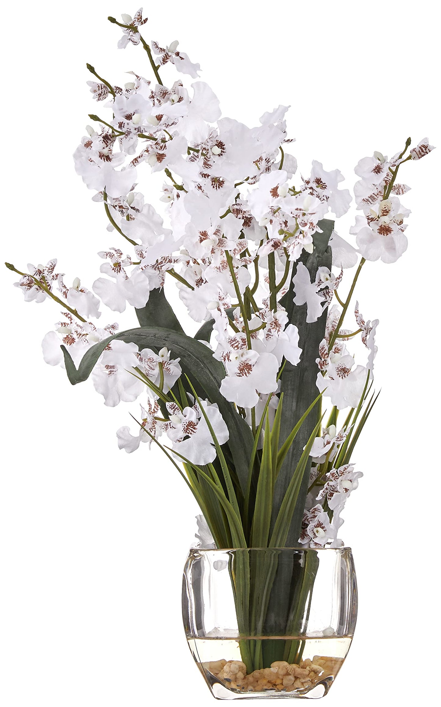 Nearly Natural Dancing Lady Orchid Silk Flower Arrangement, White, Model 1119-WH, Polyester and Glass Material
