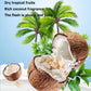 Dried Coconut Chunks Unsweetened Natural Coconut Crunchy Snacks Healthy Tropical Fruit Snack 9 OZ/255g In Resealable Bags No Art