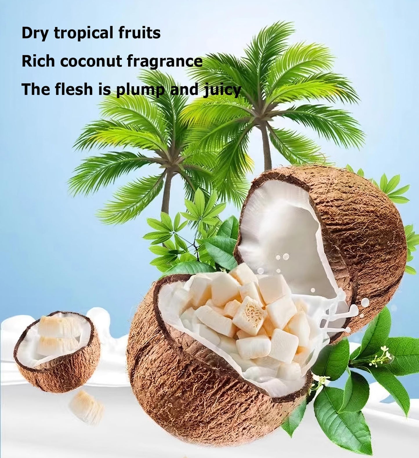 Dried Coconut Chunks Unsweetened Natural Coconut Crunchy Snacks Healthy Tropical Fruit Snack 9 OZ/255g In Resealable Bags No Art