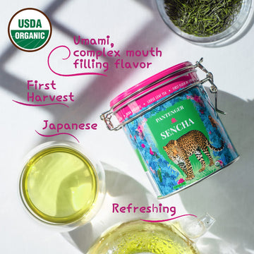 Pantenger Sencha Japanese Green Tea - USDA Organic - 20 Green Tea Bags - First Harvest - Pack of 1