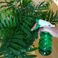 American Plant Exchange Parlor Palm - Live Indoor Houseplant, 10-Inch Pot, Pet-Friendly, Chamaedorea Elegans, Plastic, Green