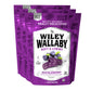 Wiley Wallaby Licorice 10 Ounce Classic Gourmet Soft & Chewy Australian Huckleberry Licorice Candy Twists, 3 Pack
