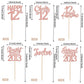 ZHUOWEISM 24PCS 12th Birthday Cupcake Toppers Rose Gold Decorations for 12th Birthday Party Supplies