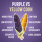 Purplesful Purple Corn Popcorn, Vegan Cheddar, Non-GMO, 4.79 Oz (Pack of 3)