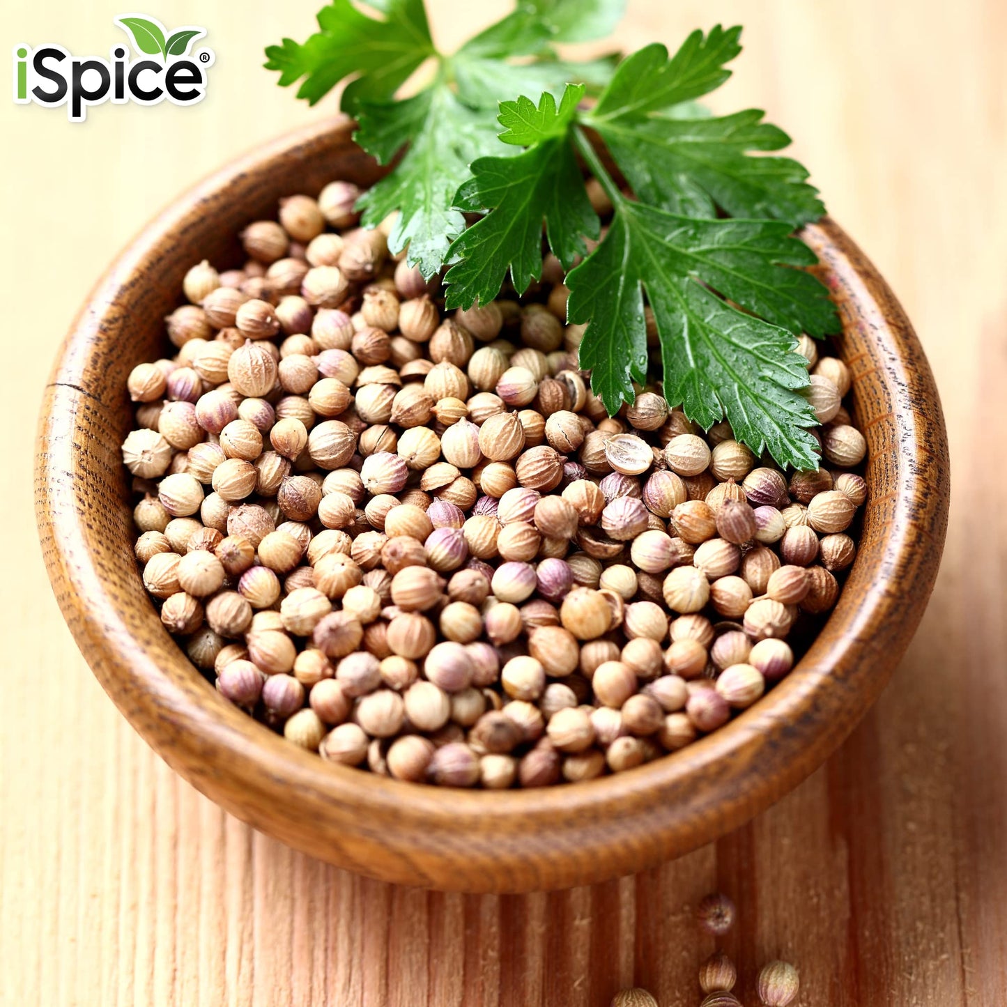 Ispice Enhanced Ground Coriander Seed Powder | Pure And Fresh |Essential Kitchen Herbs |4.7Oz (134G)