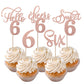 Rsstarxi Cupcake Toppers 30 Pack Rose Gold Glitter 6th Birthday Picks, Model XM202