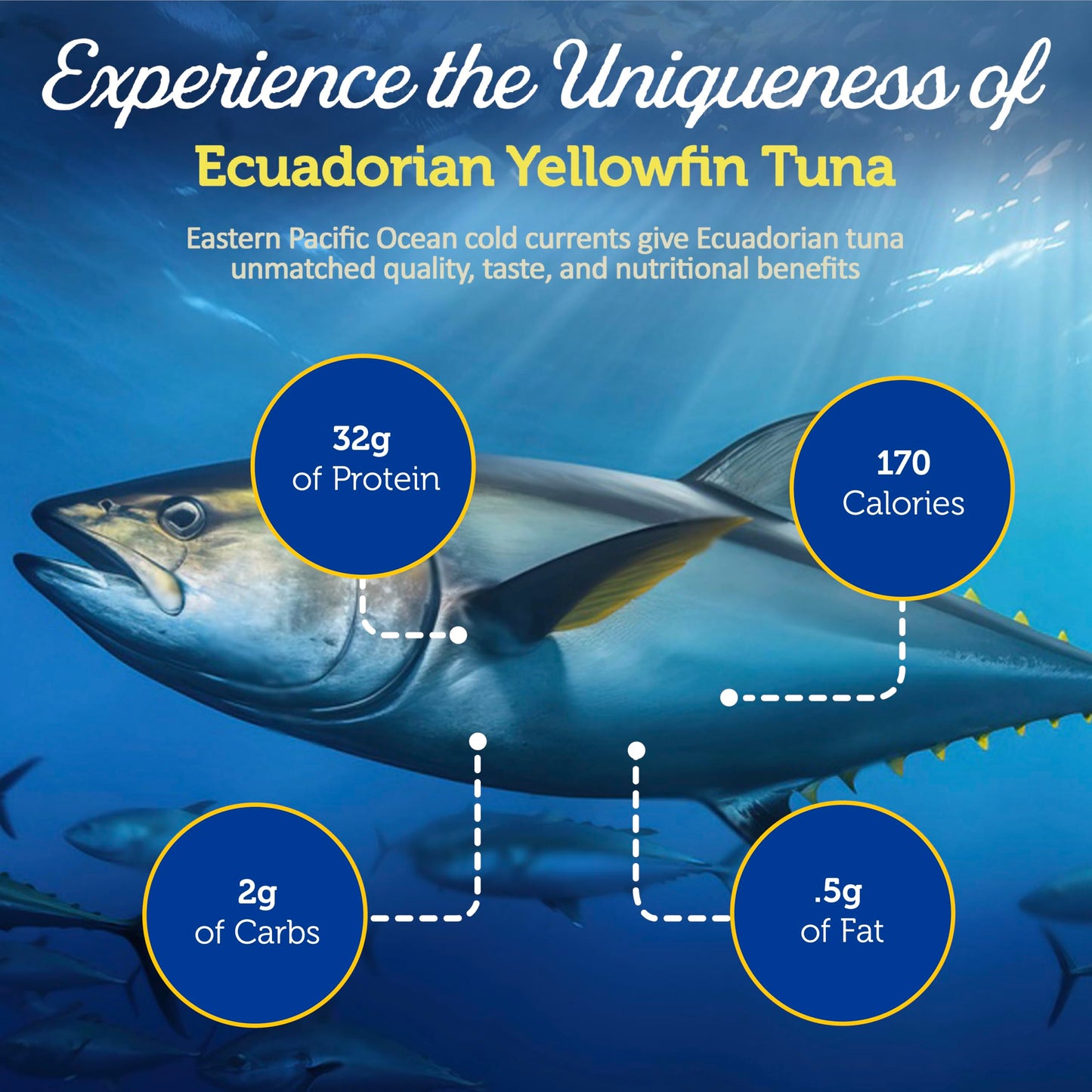 Onboard Yellowfin Tuna Fillets, Mediterranean Seafood Diet | Pescatarian Jarred Atun, Fresh Sea Tuna Salad | High In Protein - H
