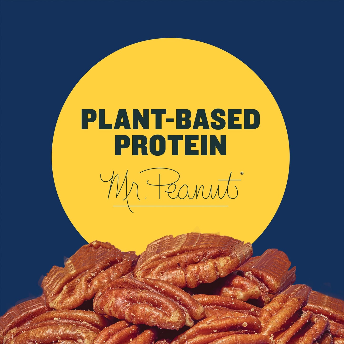 PLANTERS Salted Pecans Snack Packs, 7.25 Ounce, Individual Nuts, Model 00029000016415, Blue