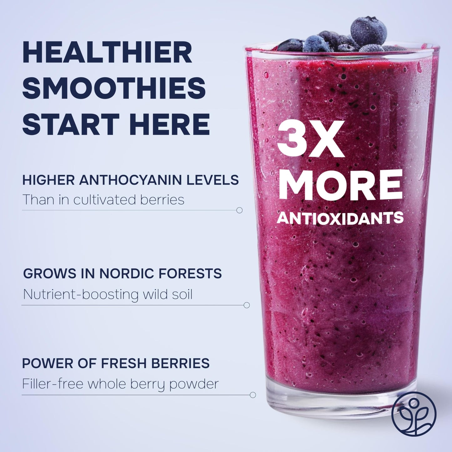 Jungle Powders Wild Blueberry Powder Organic 5 Ounce Bag Usda Certified - Antioxidant Rich Smoothies Freeze Dried Blueberries Or
