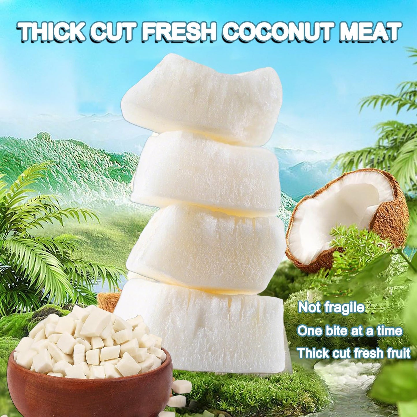 Generic Dried Coconut Chunks, Unsweetened Crunchy Coconut Strips, 7oz, Vegan, No Additives, Resealable Bag