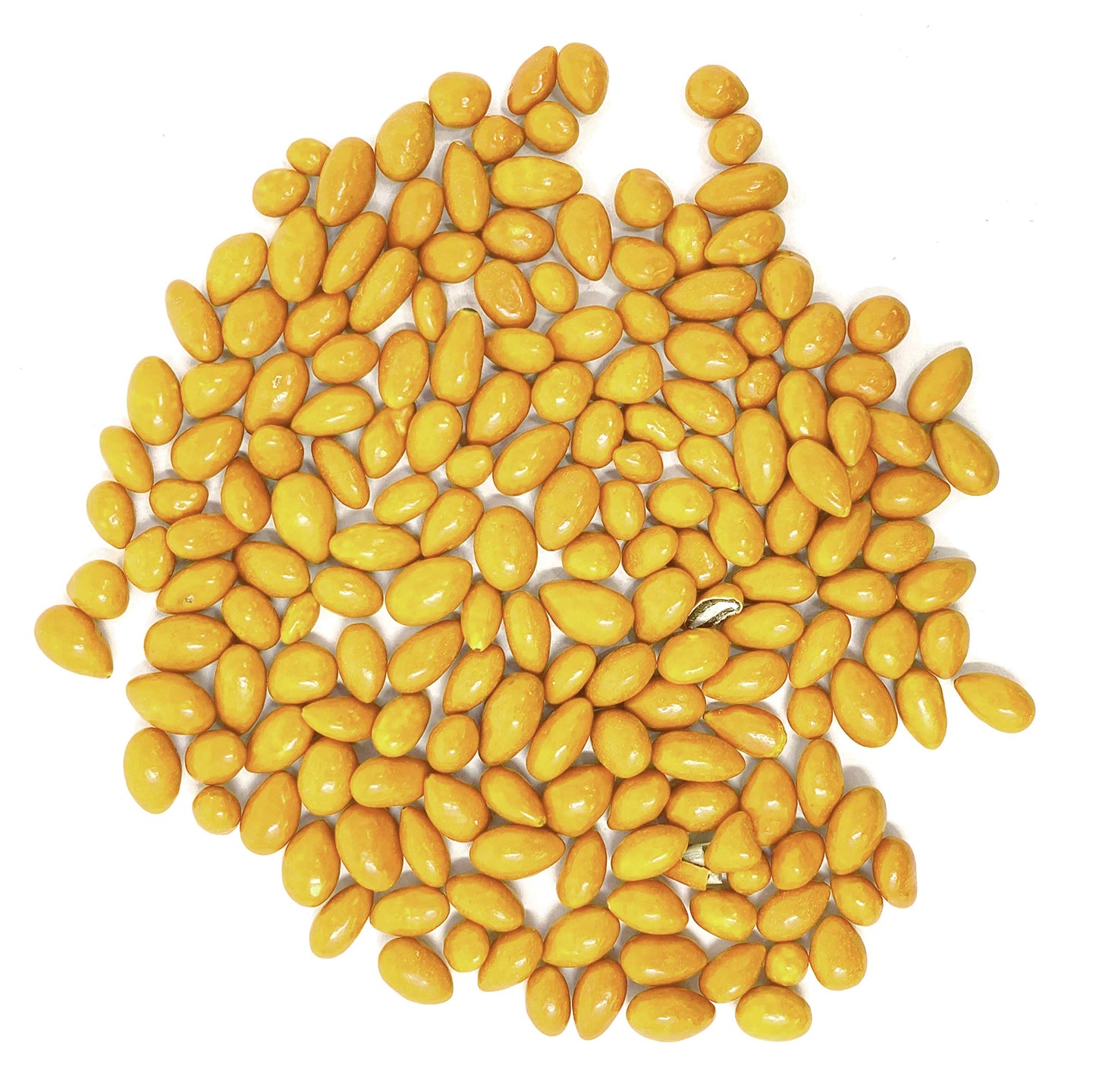 Rabbit Creek Sunflower Food Company Yellow Chocolate Covered Sunflower Seeds Bulk Yellow Candy, Yellow Cake and Cupcake Decorati