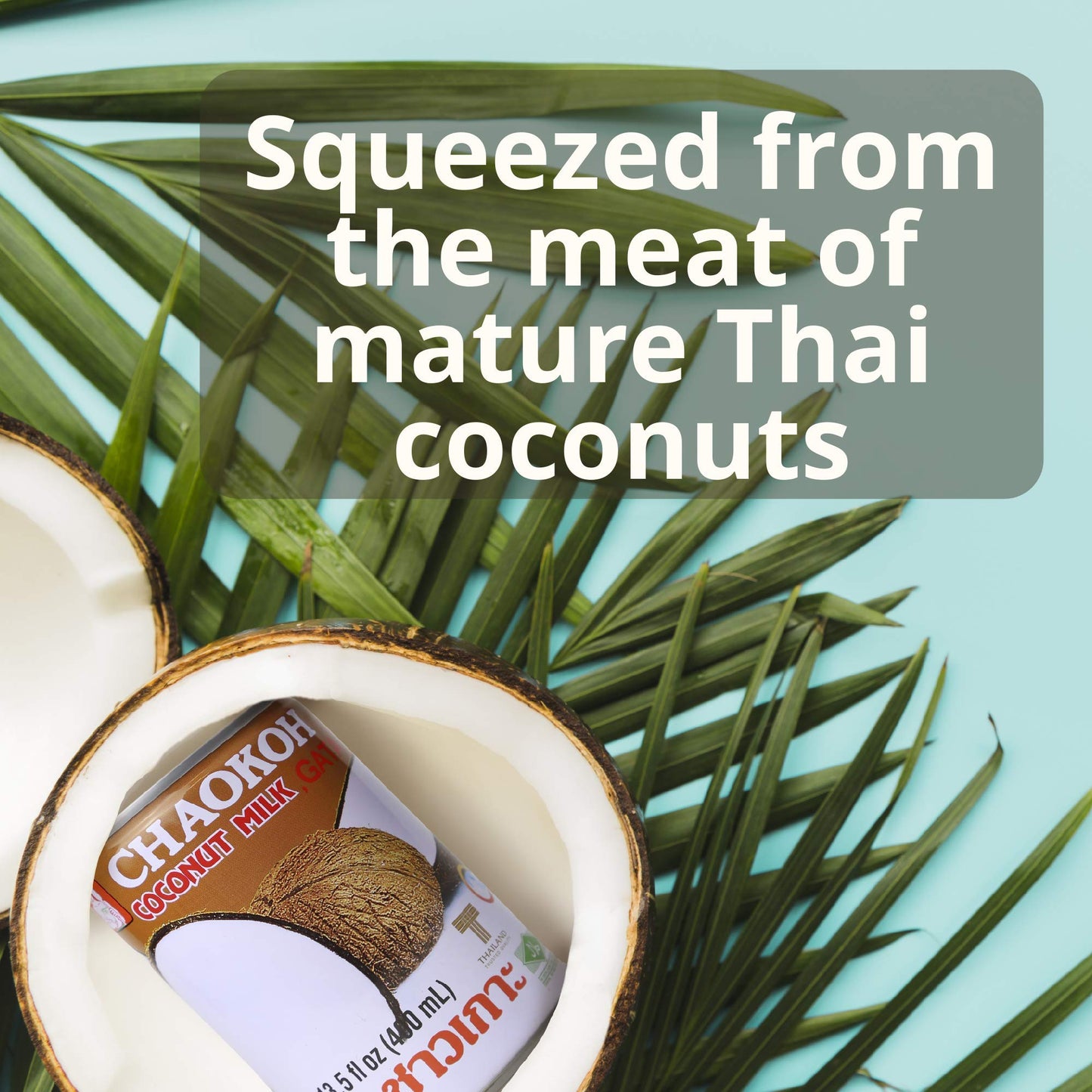 CHAOKOH Coconut Milk - Non-Dairy, No Preservatives, 13.5 Fl Oz Can, Pack of 24