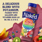 Naked Juice Rainbow Machine Flavored 100% Juice Smoothie Blend, 15.2 Fl Oz