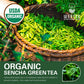 Wt Weetee Organic Sencha Green Tea Bags, Organic Steamed Green Tea 100 Count, Natural Caffeine & Antioxidant, Good For Hot Iced Cold