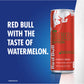 Red Bull Energy Drink Summer Edition, 12 Fl Oz, Model RB230366S, Pack of 1