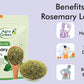Agrogreen Rosemary Dried Leaves For Hair Growth With Applicator 100% Pure & Natural - Rosemary Herb Tea - 400Gm