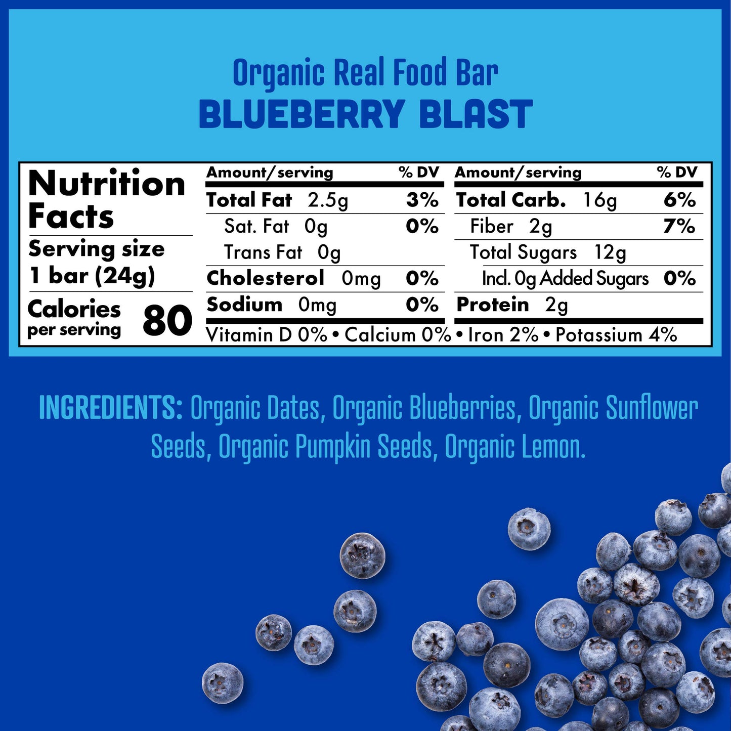 Skout Organic Blueberry Blast Real Food Bars For Kids (6 Pack) | Organic Snacks For Kids | Plant-Based Nutrition, No Refined Sug