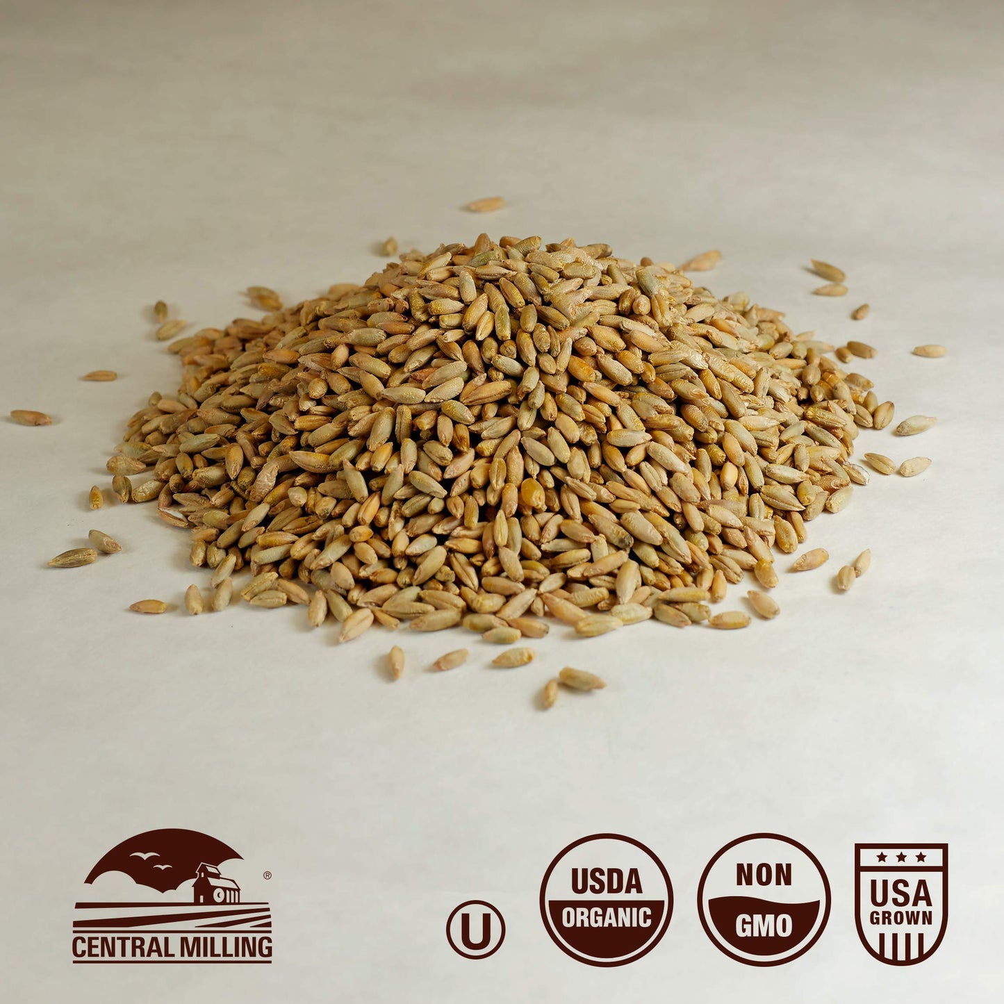 100% Organic Rye Berries - 25 Lbs