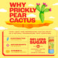 PRICKLEE SUPERFRUIT WATER Tropical Mango Cactus Water - Low-Calorie, Low-Sugar, 12 Fl Oz (Pack of 12) Non-Sparkling Sports Drink