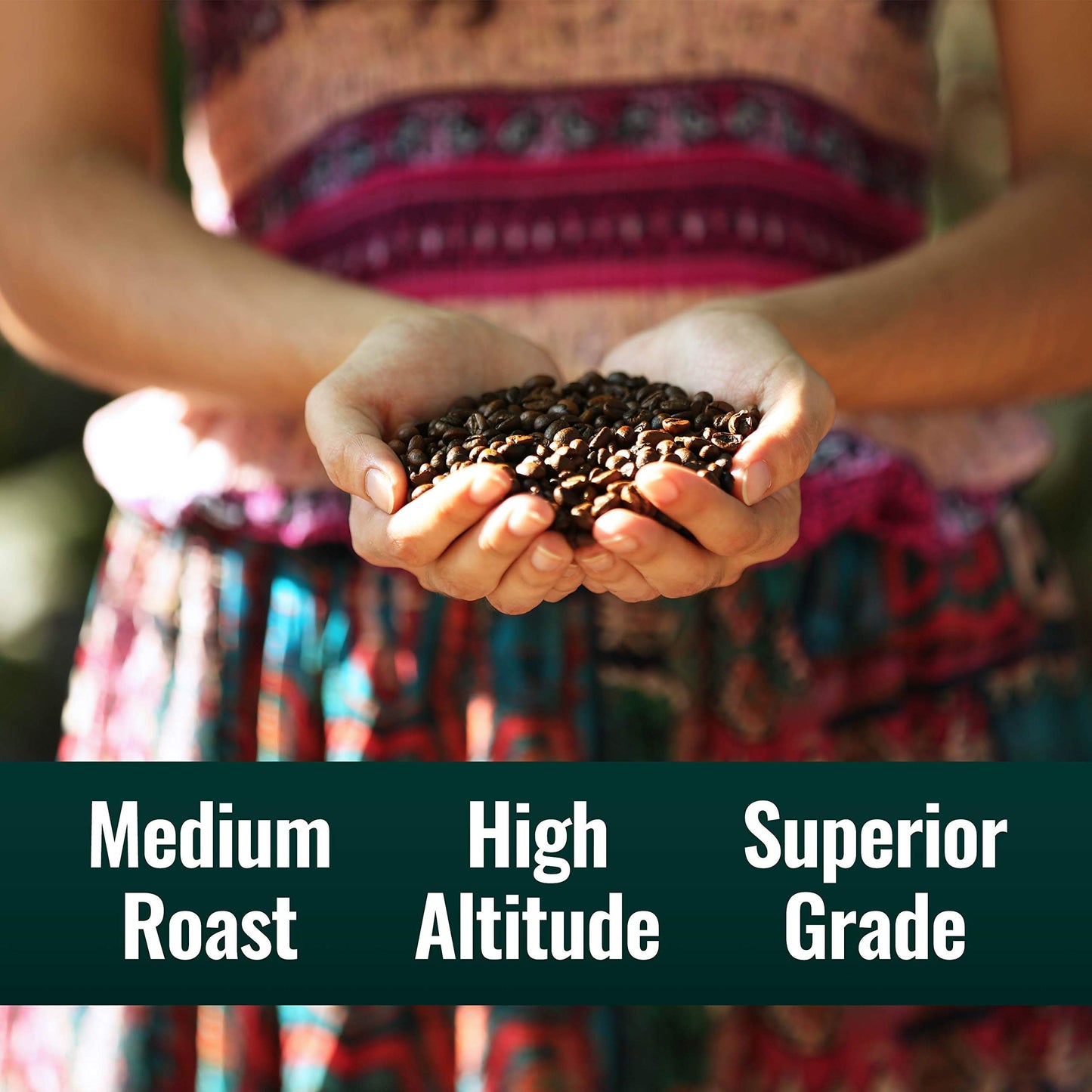 Natural Force - Organic Clean Decaf Coffee  Mold & Mycotoxin Free  Lab Tested for Toxins & Purity  Low Acidity  Whole Bean Swiss Water Decaf Medium Roast  12 oz