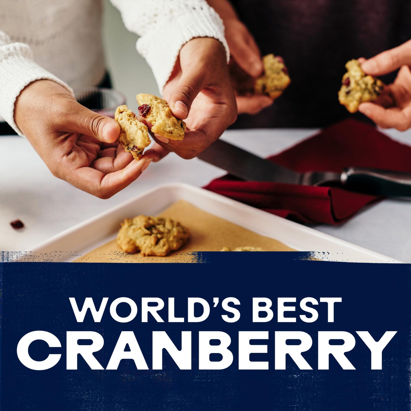 Ocean Spray Craisins Original Dried Cranberries, Dried Fruit, 6 Oz Pouch