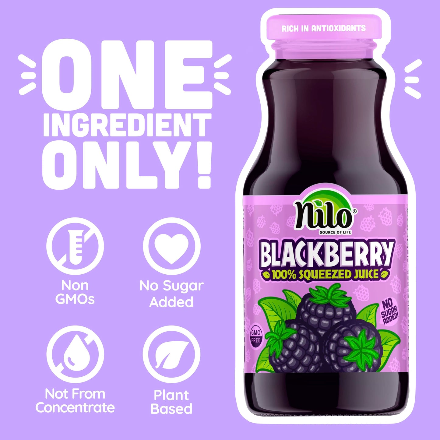 Nilo Blackberry Juice | 100% Squeezed Blackberry Mora | No Sugar Added | Non Gmo | Not From Concentrate | 8.45 Oz (Pack Of 12)