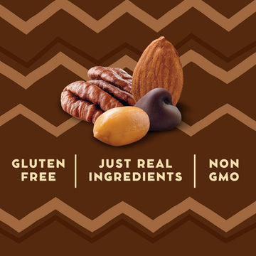 LÄRABAR Trail Mix Bars, Dark Chocolate Peanut, Gluten Free, 16 Count, 16.96 oz, Brown