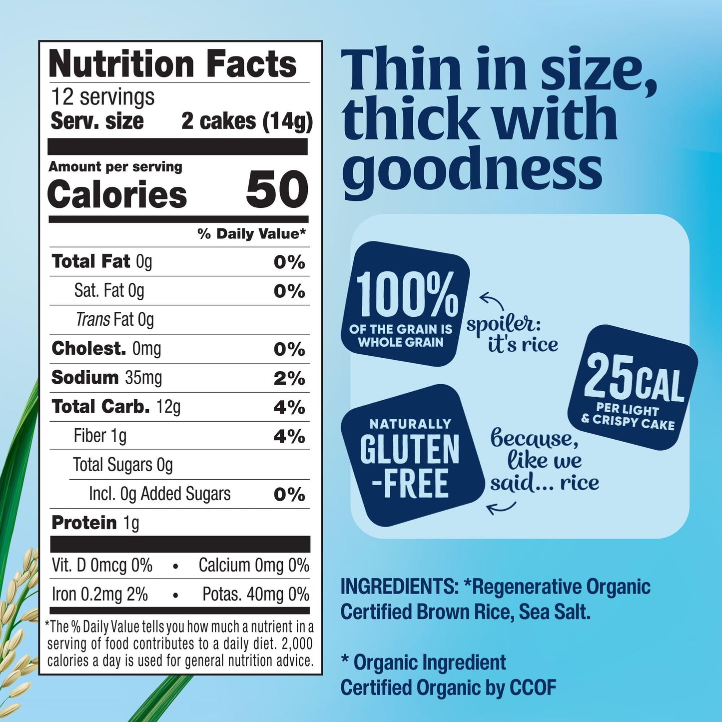 Lundberg Thin Brown Rice Cakes  Lightly Salted  6-Pack - Regenerative Organic Certified  Healthy Snacks  Vegan  6 Oz Ea