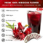 FRESHDRINKUS Hibiscus Flowers Tea Bags, 100% Natural Herbal Tea, Vegan, 40 Count