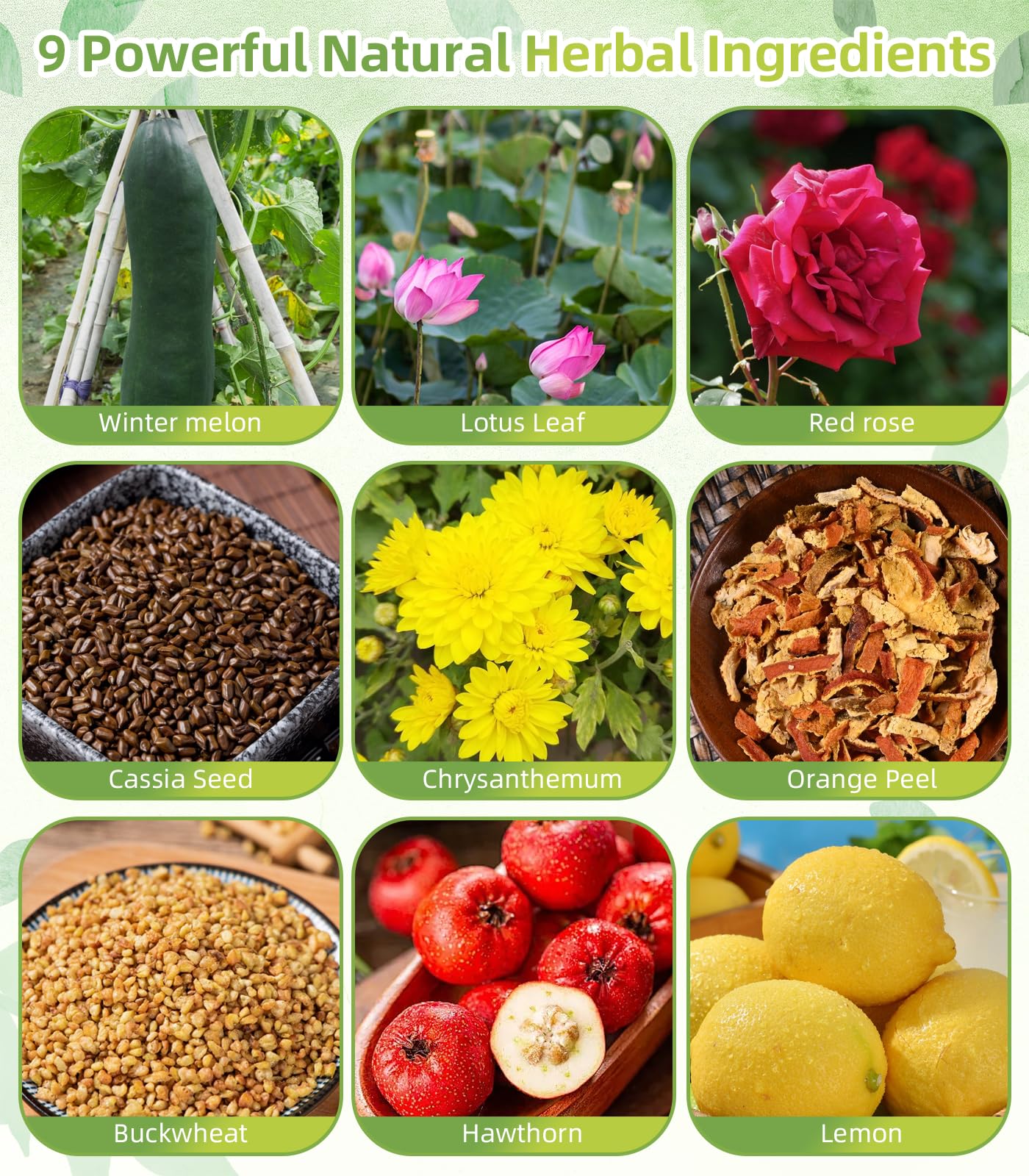 Generic Winter Melon Lotus Leaf Tea - 70 Bags Blend with Chrysanthemum, Orange Peel, Buckwheat, and More