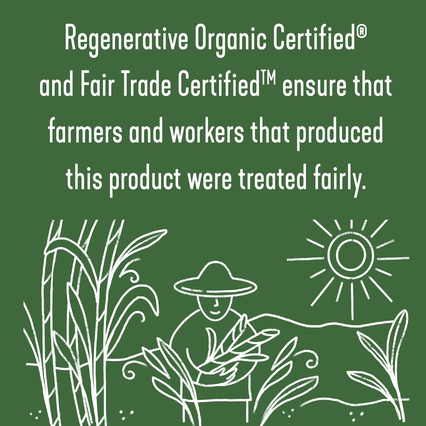 Wholesome Sweeteners 24-Ounce Regenerative Organic Certified Turbinado Sugar, Fair Trade, Non Gmo, Gluten Free & Vegan, 1 Pack