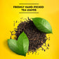 Lipton Tea Bags, Family Size Iced Tea Bags, Unsweetened, 24 Count (Pack Of 6)