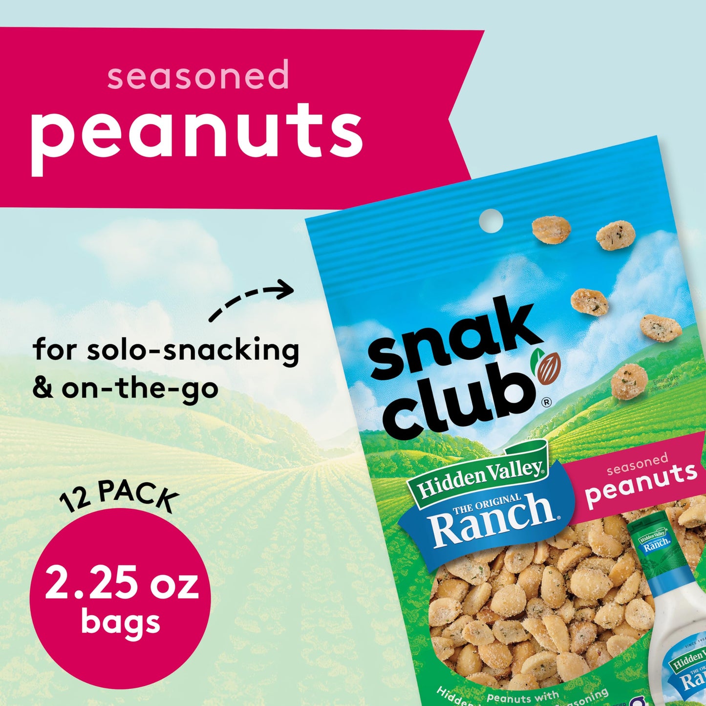 Snak Club Peanuts with Hidden Valley Ranch Seasoning, Roasted Nuts, Gluten-Free and Kosher Snack, 2.25 oz Snack Bags, 12 Pack