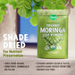 Majus Organic Moringa Powder (1 Pound), Oleifera Leaf, Extra-Fine Quality, Dried Drumstick Tree Leaves, For Tea, Smoothies, Food-Grade