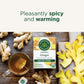 Traditional Medicinals Organic Ginger Tea, 96 Bags (6 Pack), Pleasantly Spicy & Warming, 0.85 Ounce