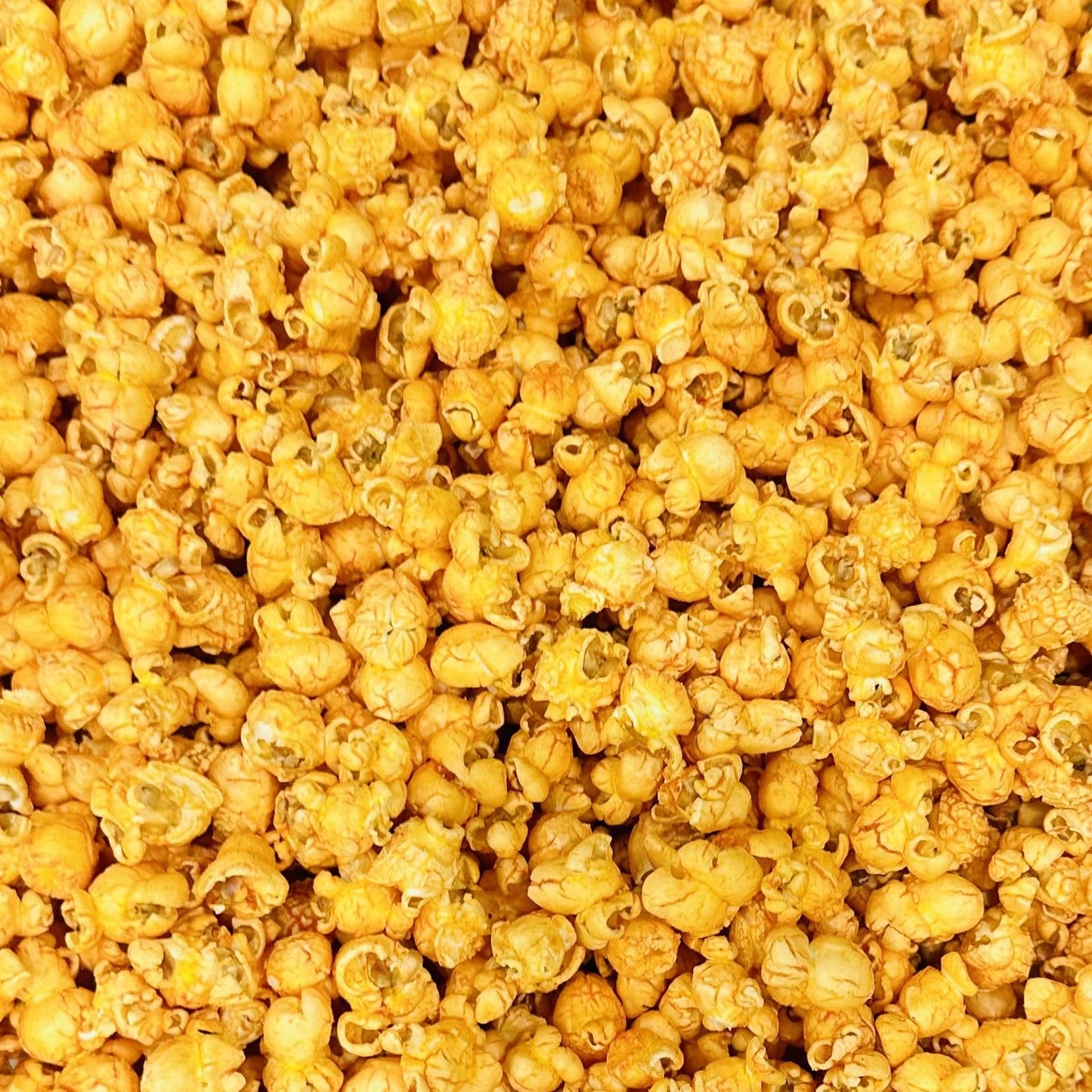 Deanan Salsa N Cheddar Popcorn - 1 Gallon Bag