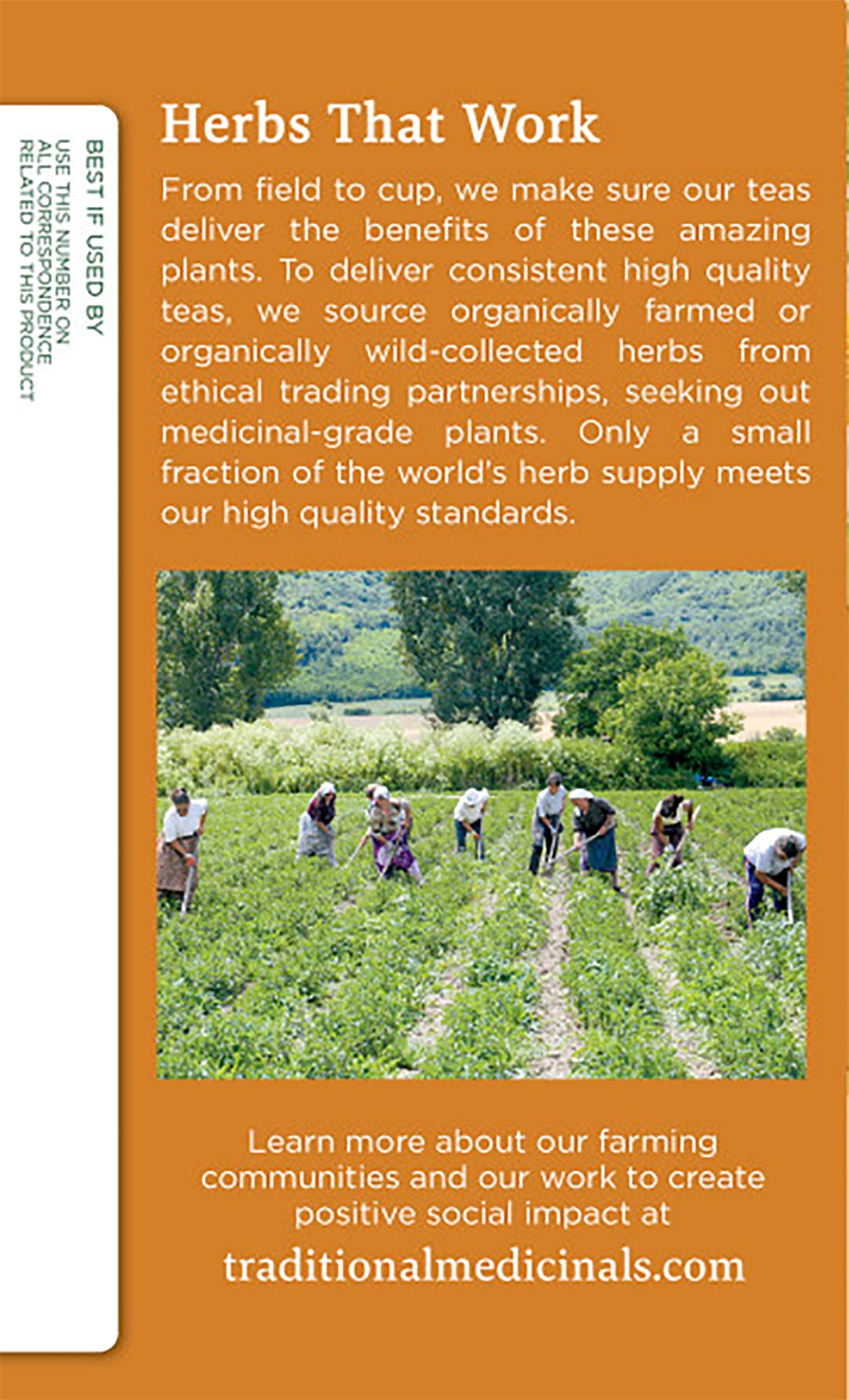 Traditional Medicinals Organic Gas Relief Chamomile Mint Herbal Tea, Relieves Gas & Bloating, (Pack Of 3) - 48 Tea Bags Total