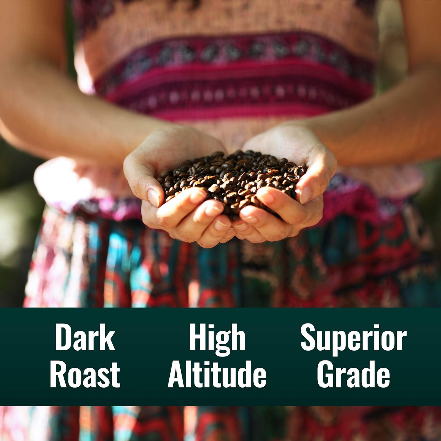 Natural Force - Organic Clean Coffee Dark, Mold & Mycotoxin Free, Lab Tested for Toxins & Purity, Low Acidity, Incredible Taste