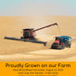 Palouse Brand Certified Glyphosate Residue Free | Hard White Wheat Berries | 36 LBS | Family Farmed in Washington State | Sprout
