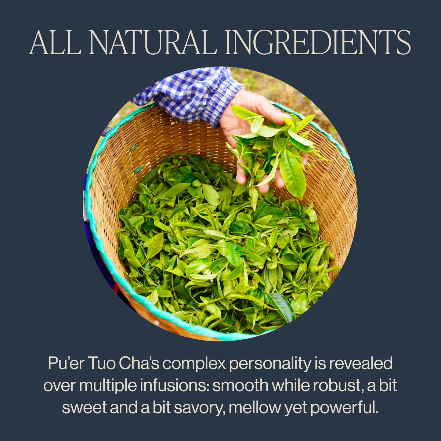 Rishi Tea Ancient Puer Tuo Cha Herbal Tea, Organic, Medium Caffeine, 16 Ounces