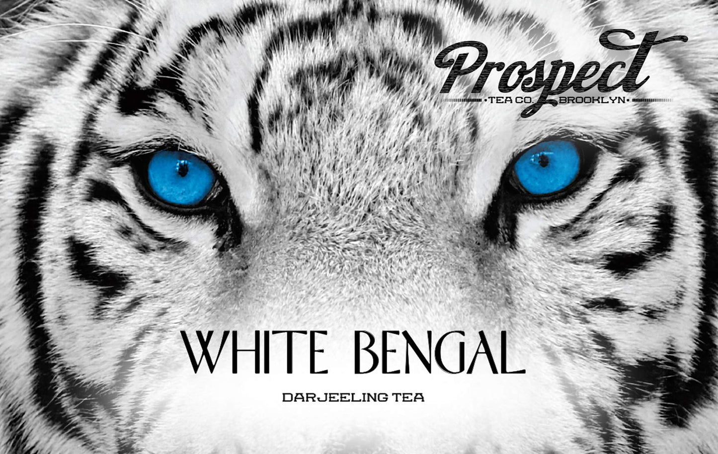 Prospect Tea Co. White Bengal Darjeeling Tea Pods, Compatible with K Cup malt-inspired 40 Count, Model PTC WB40