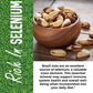 Herbaila Raw Brazil Nuts, Unsalted & Shelled, 32 oz. (2 lb), Non-GMO, Vegan